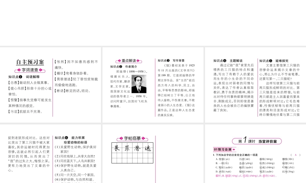 （毕节地区）七年级语文上册 第5单元 16 猫习题课件 新人教版-新人教版初中七年级上册语文课件