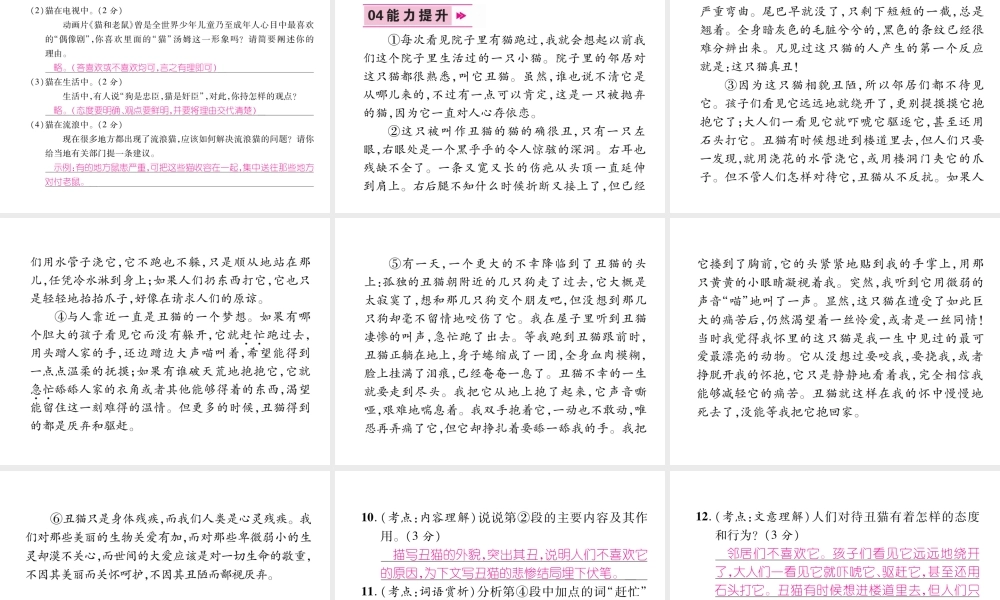 （毕节地区）七年级语文上册 第5单元 16 猫习题课件 新人教版-新人教版初中七年级上册语文课件