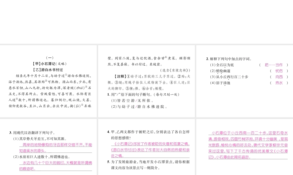 （毕节专版）八年级语文下册 双休作业5课件 新人教版-新人教版初中八年级下册语文课件