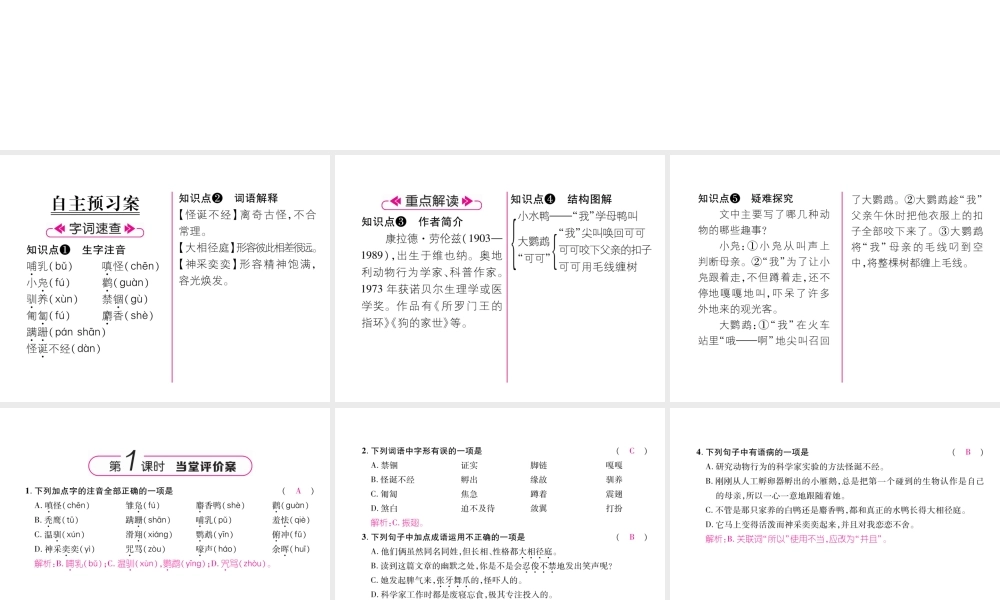 （毕节地区）七年级语文上册 第5单元 17 动物笑谈习题课件 新人教版-新人教版初中七年级上册语文课件