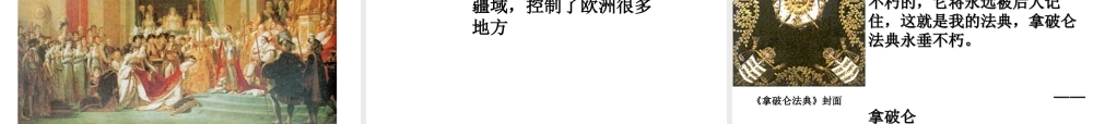 （水滴系列）九年级历史上册 第四单元 第13课 法国大革命和拿破仑帝国课件 新人教版-新人教版初中九年级上册历史课件