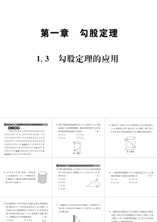 （毕节地区）秋八年级数学上册 1.3 勾股定理的应用作业课件 （新版）北师大版-（新版）北师大版初中八年级上册数学课件