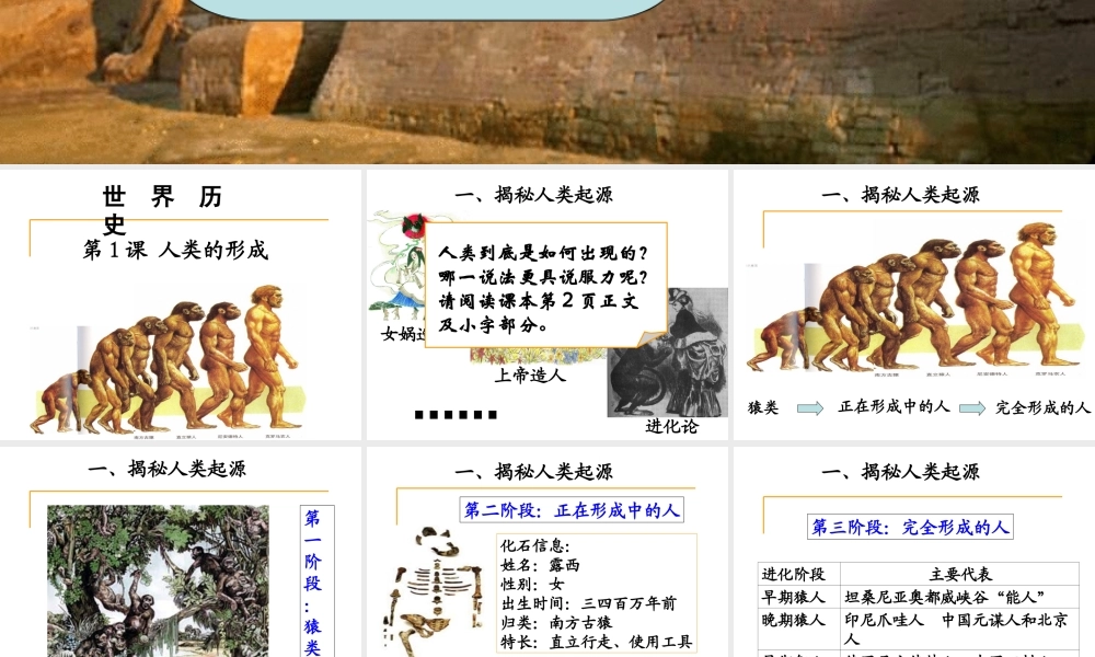 （水滴系列）九年级历史上册 第一单元 第1课 人类的形成课件 新人教版-新人教版初中九年级上册历史课件