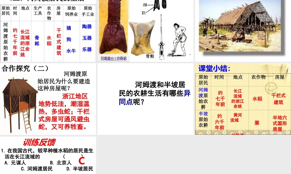 （水滴系列）（秋季版）七年级历史上册 第2课 原始农耕生活课件1 新人教版-新人教版初中七年级上册历史课件