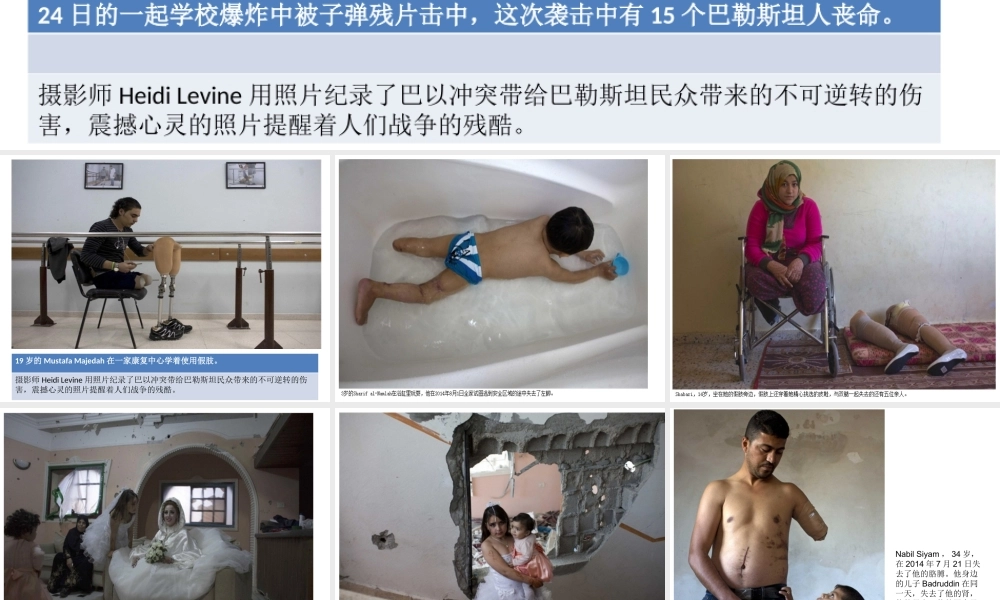 （水滴系列）九年级历史下册 第13课《动荡的中东地区》课件1 新人教版