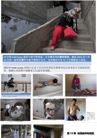 （水滴系列）九年级历史下册 第13课《动荡的中东地区》课件1 新人教版