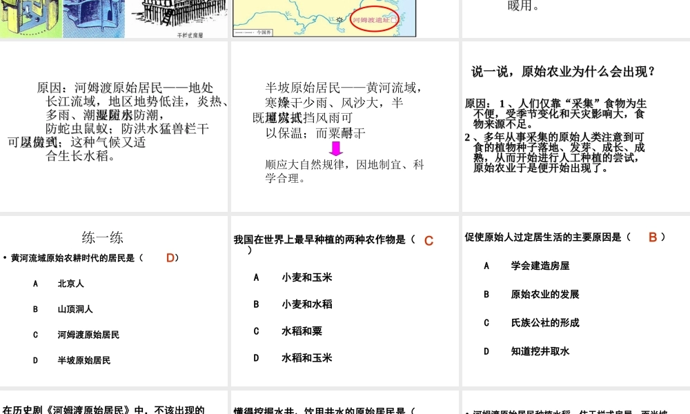 （水滴系列）（秋季版）七年级历史上册 第2课 原始农耕生活课件2 新人教版-新人教版初中七年级上册历史课件