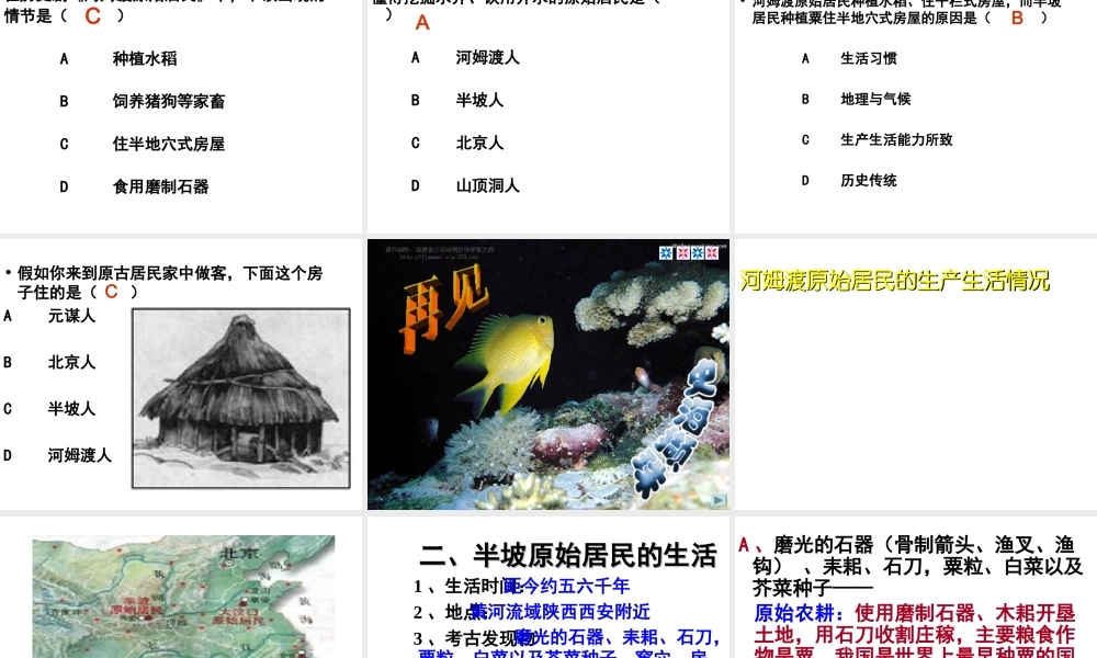 （水滴系列）（秋季版）七年级历史上册 第2课 原始农耕生活课件2 新人教版-新人教版初中七年级上册历史课件