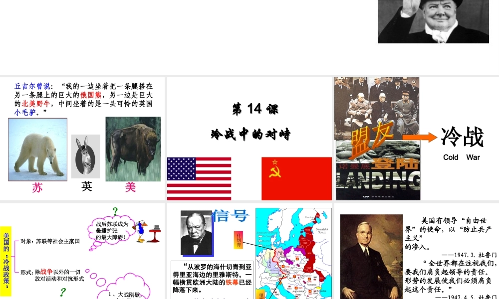 （水滴系列）九年级历史下册 第14课 冷战中的对峙课件 新人教版