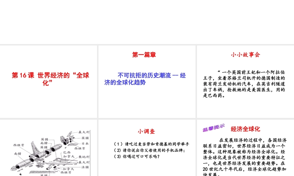 （水滴系列）九年级历史下册 第16课《经济全球化》课件 新人教版