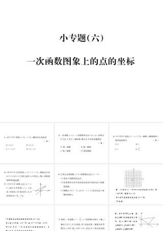 （毕节地区）秋八年级数学上册 小专题（六）一次函数图象上的点的坐标作业课件 （新版）新人教版-（新版）新人教版初中八年级上册数学课件