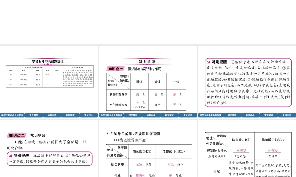 （毕节地区）中考化学总复习 第1编 教材知识梳理篇 第10单元 酸和碱 第1讲 常见的酸和碱（精讲）课件-人教版初中九年级全册化学课件