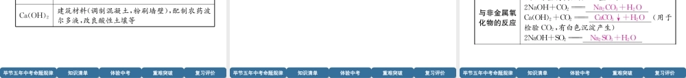 （毕节地区）中考化学总复习 第1编 教材知识梳理篇 第10单元 酸和碱 第1讲 常见的酸和碱（精讲）课件-人教版初中九年级全册化学课件