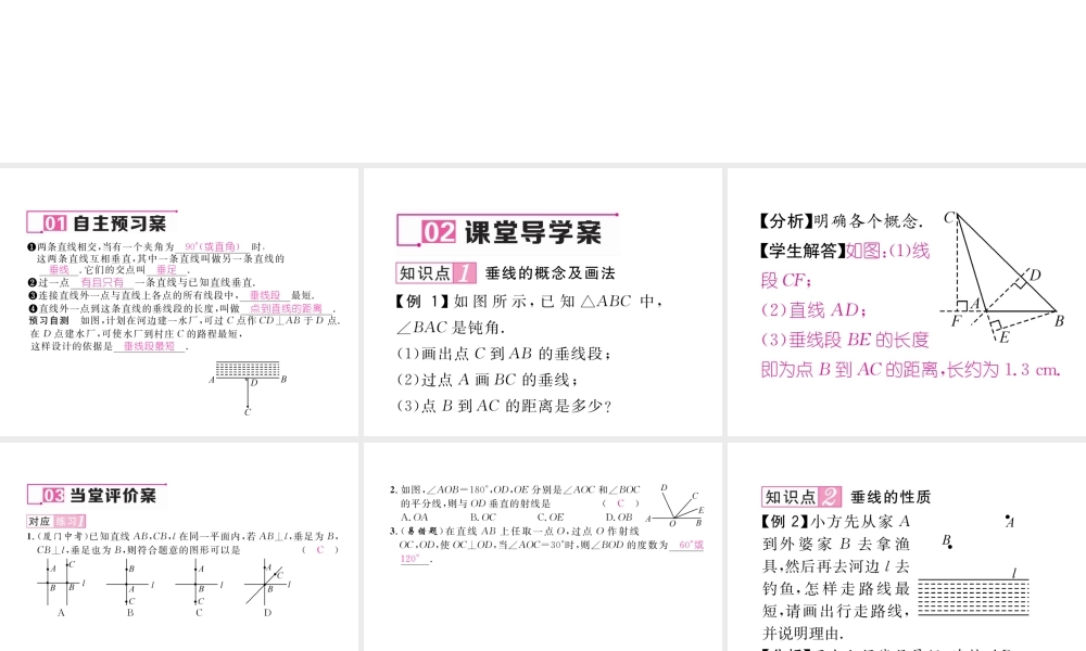 （毕节专级数学下册 第2章 相交线与平行线 2.1 第2课时 垂线及性质作业课件 （新版）北师大版-（新版）北师大级下册数学课件