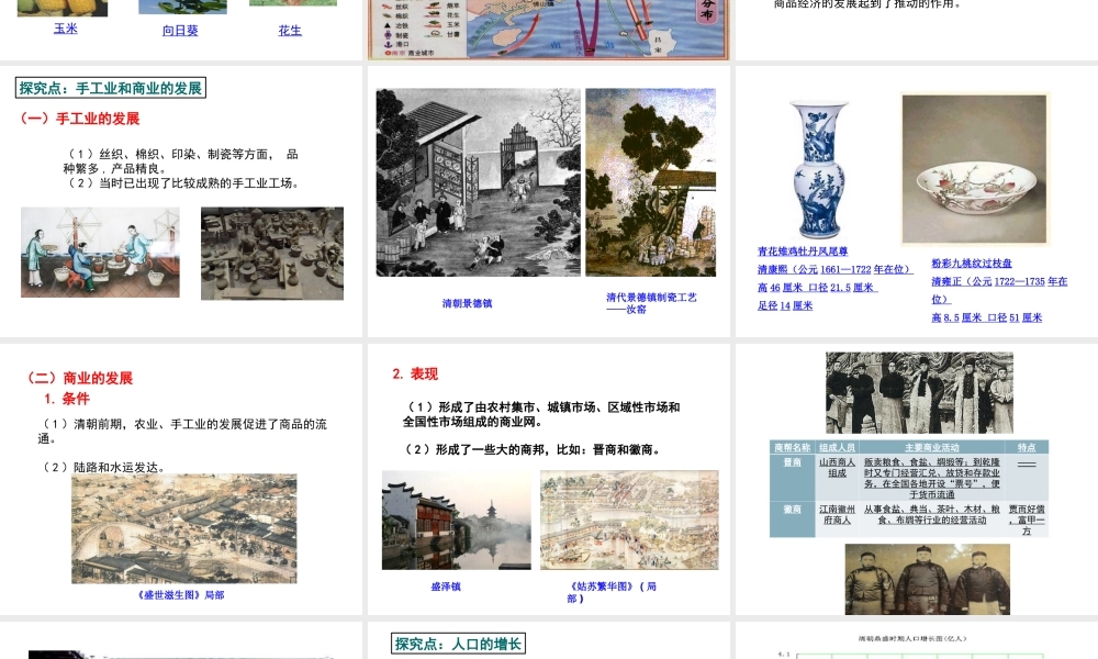 （水滴系列）七年级历史下册 第19课 清朝前期社会经济的发展课件 新人教版