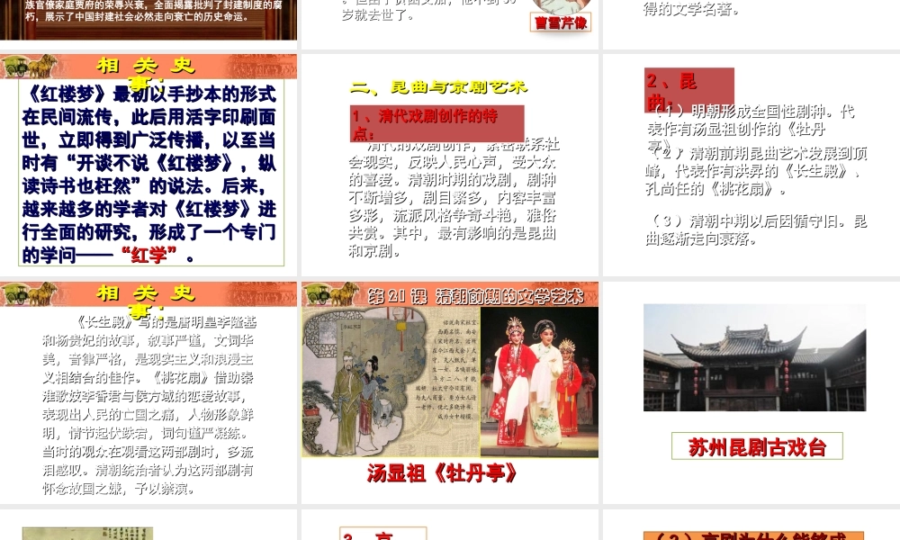 （水滴系列）七年级历史下册 第21课 清朝前期的文学艺术课件 新人教版