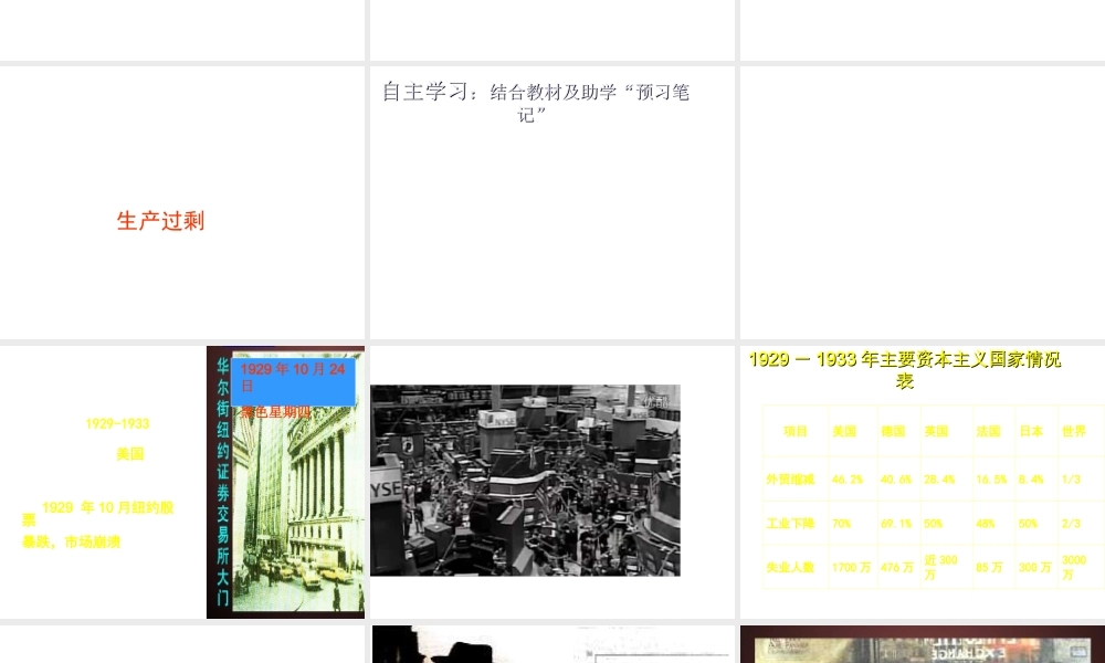 （水滴系列）九年级历史下册 第4课《经济大危机》课件 新人教版