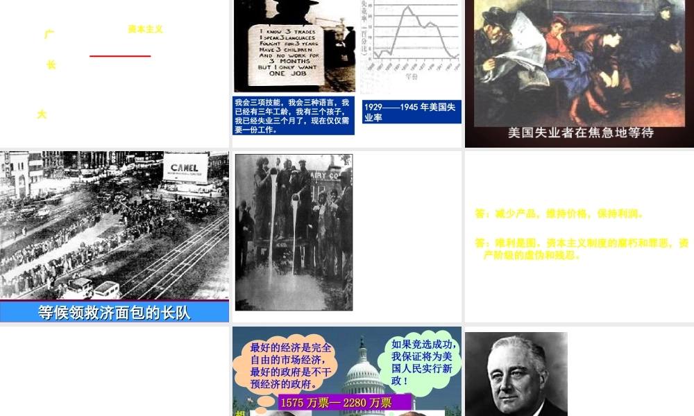 （水滴系列）九年级历史下册 第4课《经济大危机》课件 新人教版