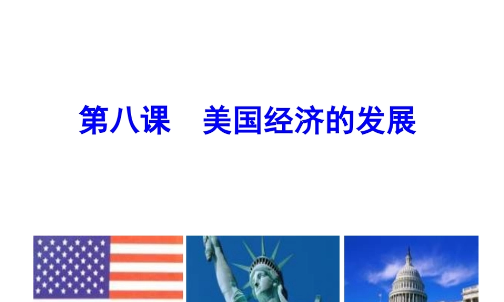 （水滴系列）九年级历史下册 第8课 美国经济的发展课件 新人教版