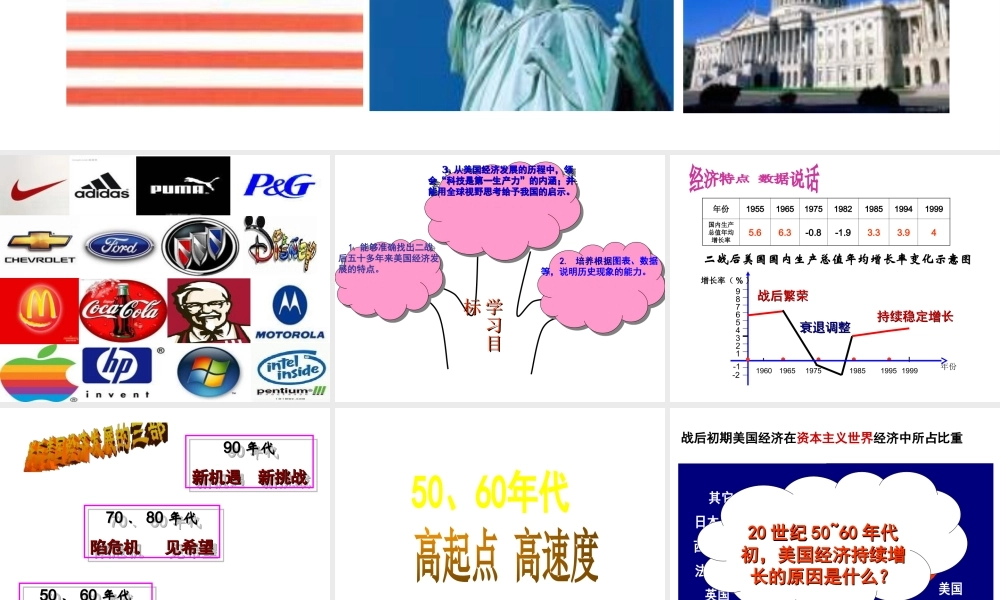 （水滴系列）九年级历史下册 第8课 美国经济的发展课件 新人教版