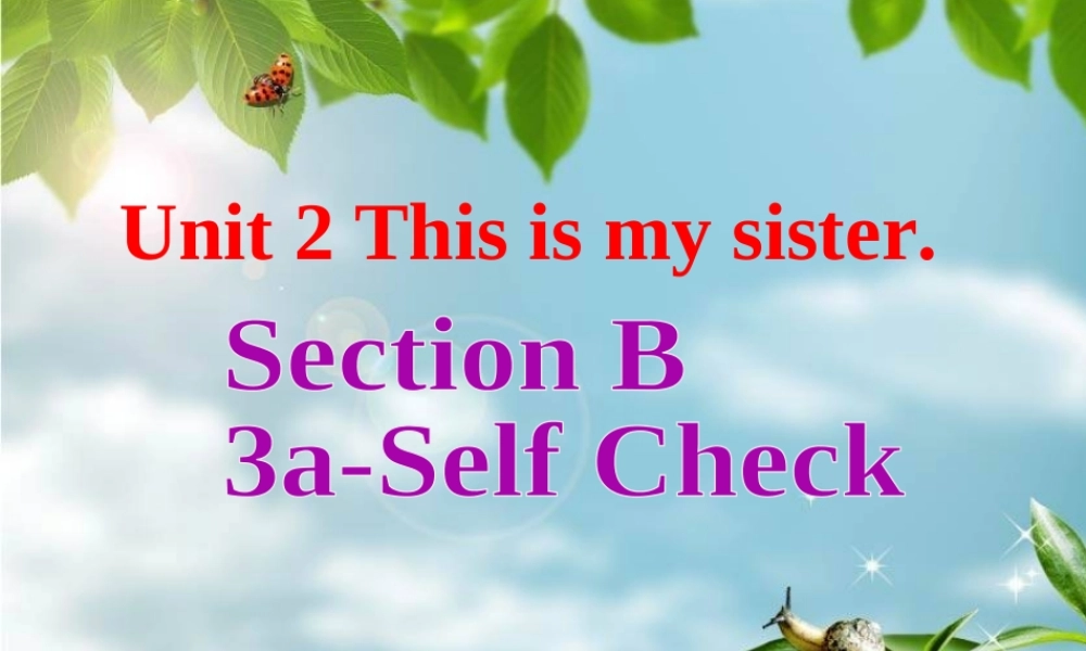 （水滴系列）七年级英语上册 Unit 2 This is my sister（第6课时）Section B（3a-Self check）课件 （新版）人教新目标版-（新版）人教新目标版初中七年级上册英语课件