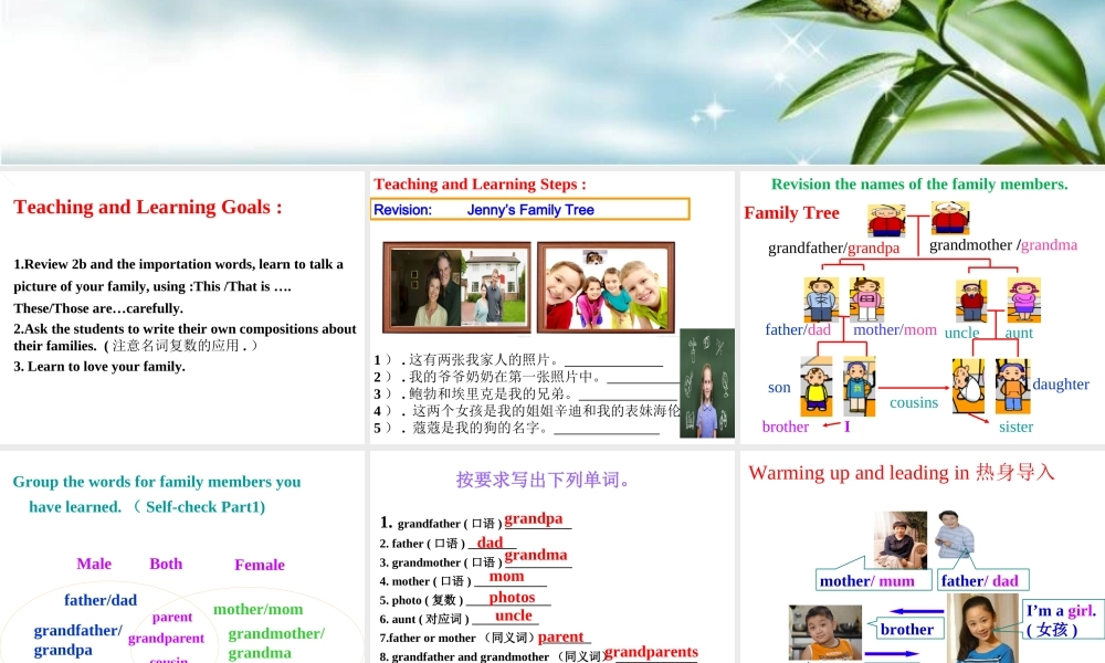 （水滴系列）七年级英语上册 Unit 2 This is my sister（第6课时）Section B（3a-Self check）课件 （新版）人教新目标版-（新版）人教新目标版初中七年级上册英语课件