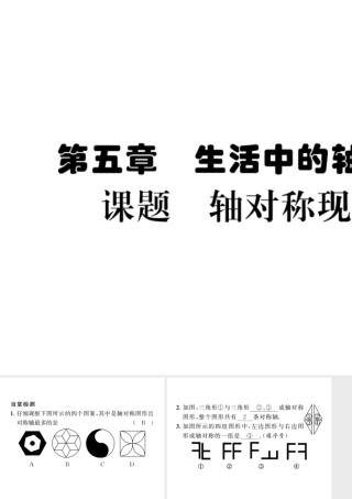 （毕节级数学下册 第5章 生活中的轴对称 课题一 轴对称现象当堂检测课件 （新版）北师大版-（新版）北师大级下册数学课件