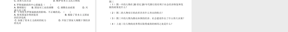 （水滴系列）九年级历史下册 第二单元 第4课《经济大危机》课件2 新人教版-新人教版初中九年级下册历史课件