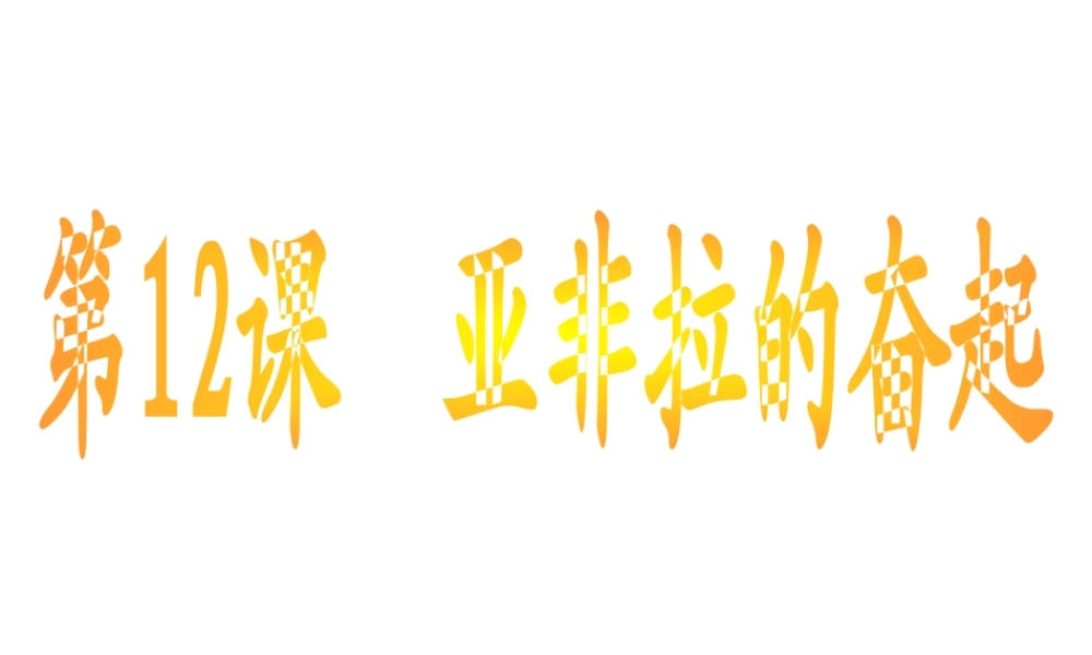 （水滴系列）九年级历史下册 第六单元 第12课 亚非拉的奋起课件 新人教版-新人教版初中九年级下册历史课件