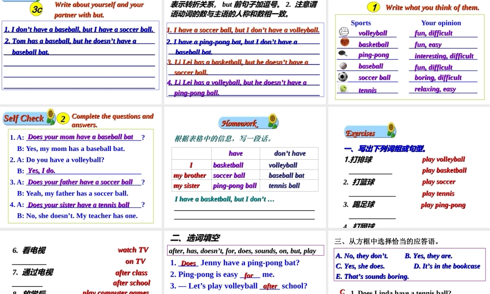 （水滴系列）七年级英语上册 Unit 5 Do you have a soccer ball Section B（3a-self check）课件 （新版）人教新目标版-（新版）人教新目标版初中七年级上册英语课件