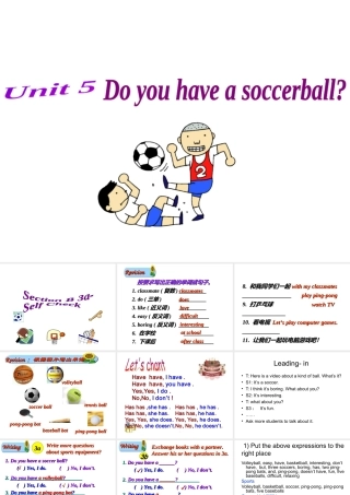 （水滴系列）七年级英语上册 Unit 5 Do you have a soccer ball Section B（3a-self check）课件 （新版）人教新目标版-（新版）人教新目标版初中七年级上册英语课件