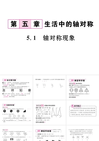 （毕节专版）春七年级数学下册 第5章 生活中的轴对称 5.1 轴对称现象作业课件 （新版）北师大版-（新版）北师大版初中七年级下册数学课件