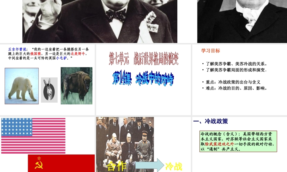 （水滴系列）九年级历史下册 第七单元 第14课《冷战中的对峙》课件2 新人教版-新人教版初中九年级下册历史课件