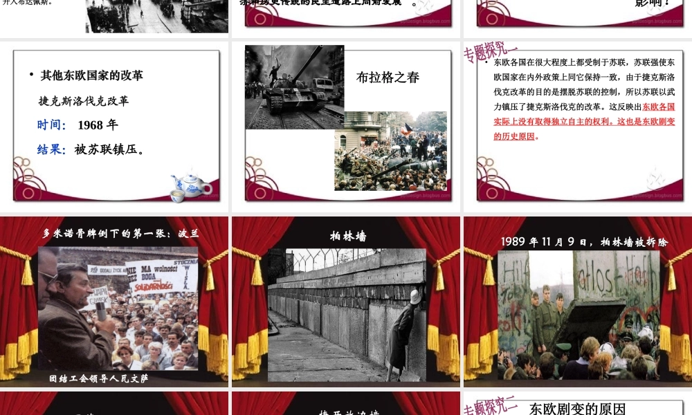 （水滴系列）九年级历史下册 第五单元 第11课《东欧社会主义国家的改革与演变》教案 新人教版-新人教版初中九年级下册历史教案