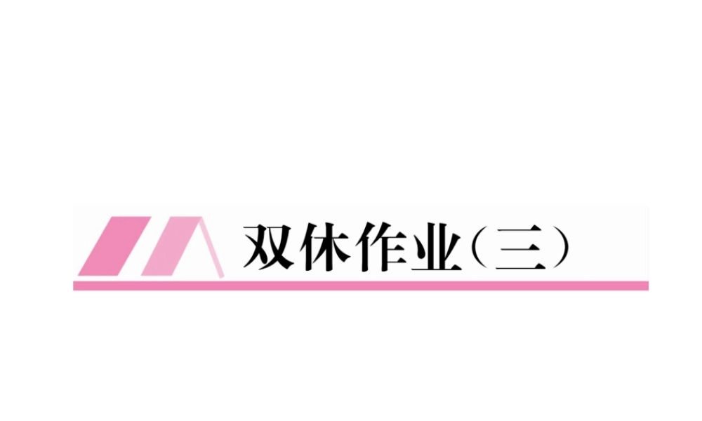 （毕节专版）春七年级数学下册 双休作业（三）作业课件 （新版）北师大版-（新版）北师大版初中七年级下册数学课件