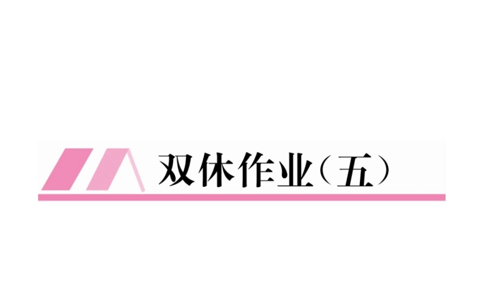 （毕节专版）春七年级数学下册 双休作业（五）作业课件 （新版）北师大版-（新版）北师大版初中七年级下册数学课件