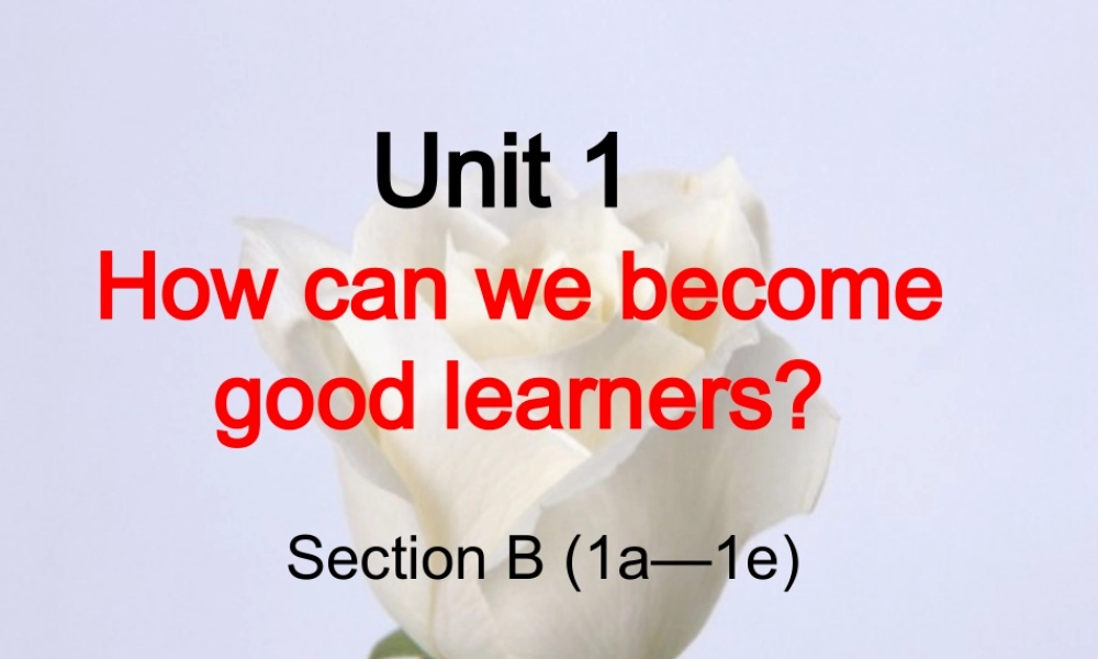 （水滴系列）九年级英语全册 Unit 1 How can we become good learners（第4课时）Section B（1a-1e）课件 （新版）人教新目标版-（新版）人教新目标版初中九年级全册英语课件