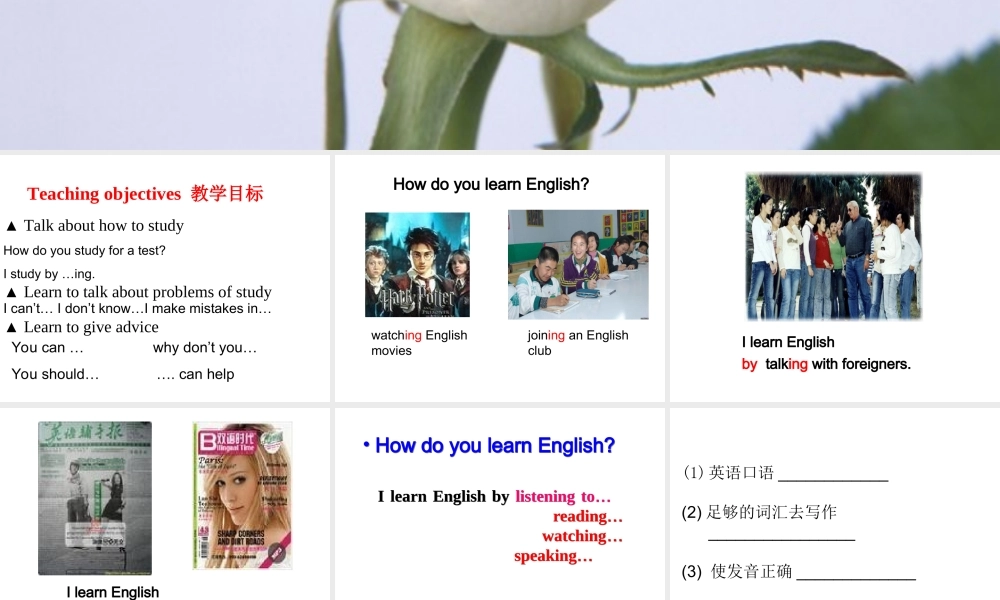 （水滴系列）九年级英语全册 Unit 1 How can we become good learners（第4课时）Section B（1a-1e）课件 （新版）人教新目标版-（新版）人教新目标版初中九年级全册英语课件