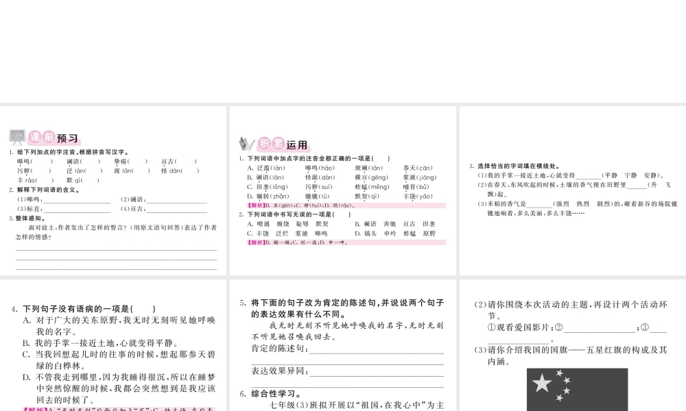 （毕节专版）春七年级语文下册 第2单元 7土地的誓言习题课件 新人教版-新人教版初中七年级下册语文课件