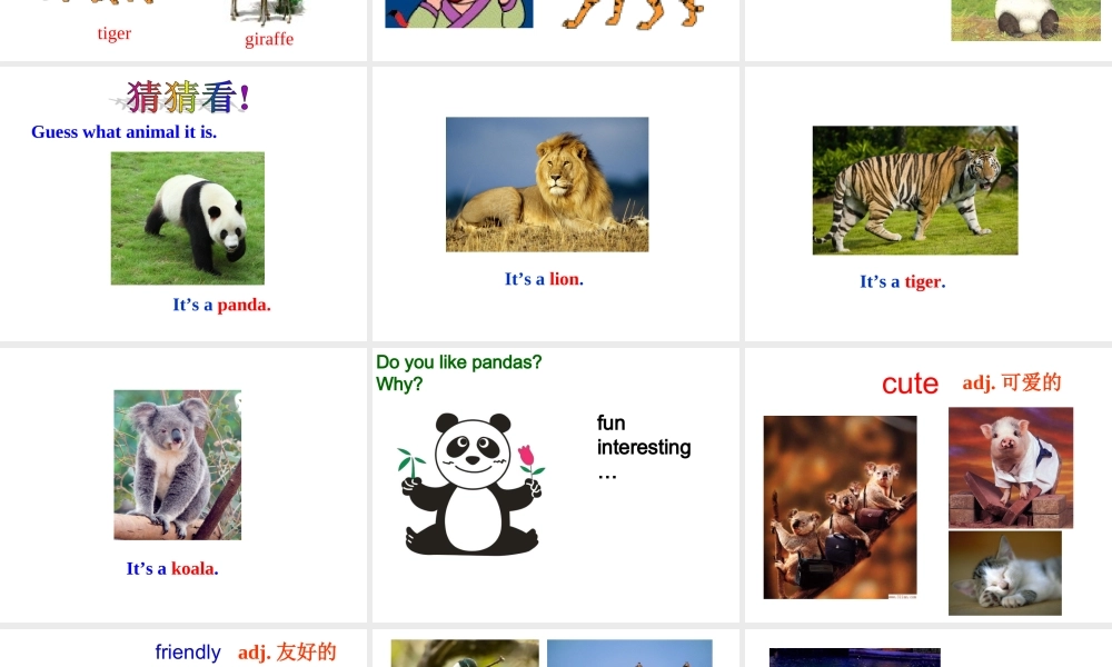 （水滴系列）七年级英语下册 Unit 5 Why do you like pandas（第1课时）New words and phrases课件 （新版）人教新目标版-（新版）人教新目标版初中七年级下册英语课件