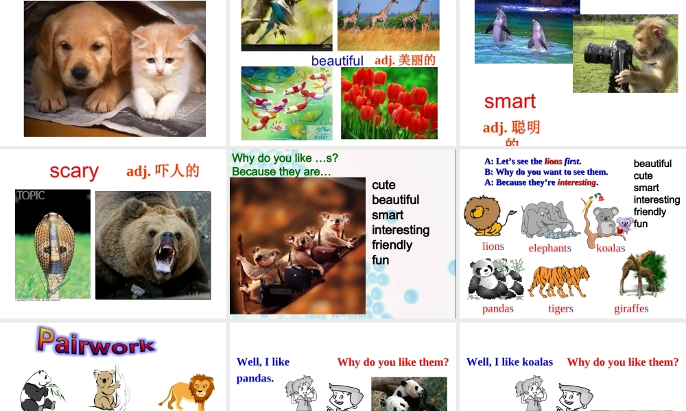 （水滴系列）七年级英语下册 Unit 5 Why do you like pandas（第1课时）New words and phrases课件 （新版）人教新目标版-（新版）人教新目标版初中七年级下册英语课件