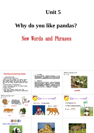 （水滴系列）七年级英语下册 Unit 5 Why do you like pandas（第1课时）New words and phrases课件 （新版）人教新目标版-（新版）人教新目标版初中七年级下册英语课件
