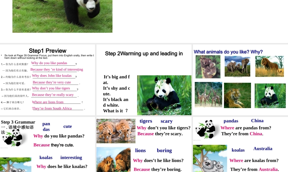 （水滴系列）七年级英语下册 Unit 5 Why do you like pandas（第3课时）Section A（Grammar Focus-3c）课件 （新版）人教新目标版-（新版）人教新目标版初中七年级下册英语课件