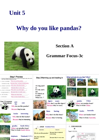 （水滴系列）七年级英语下册 Unit 5 Why do you like pandas（第3课时）Section A（Grammar Focus-3c）课件 （新版）人教新目标版-（新版）人教新目标版初中七年级下册英语课件