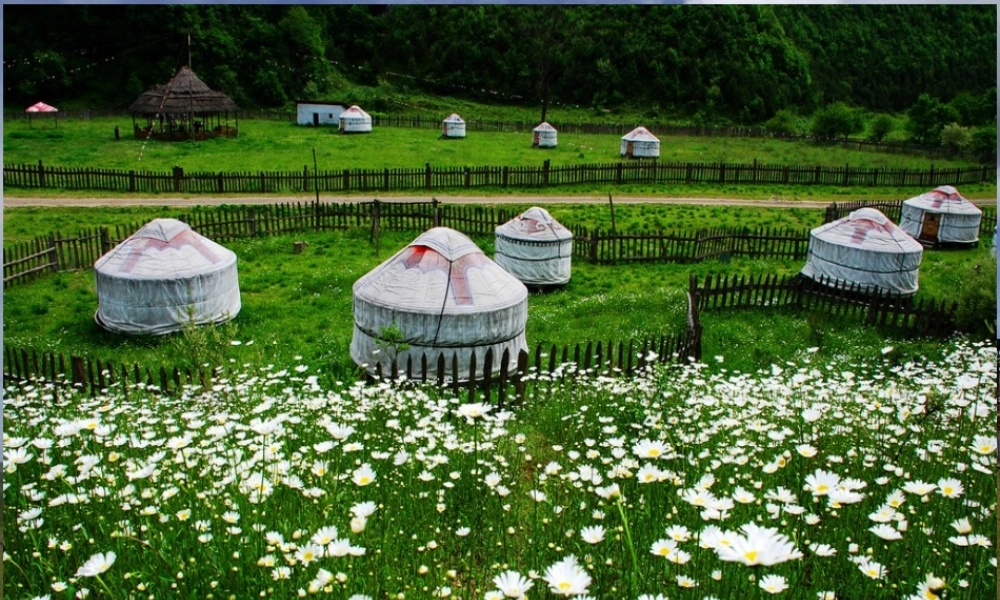 （水滴系列）七年级历史下册 第12课《蒙古的兴起和元朝的建立》图片课件 新人教版