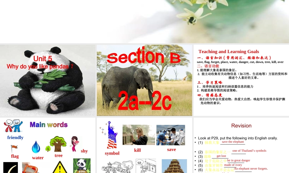 （水滴系列）七年级英语下册 Unit 5 Why do you like pandas（第5课时）Section B（2a-2e）阅读课课件 （新版）人教新目标版-（新版）人教新目标版初中七年级下册英语课件
