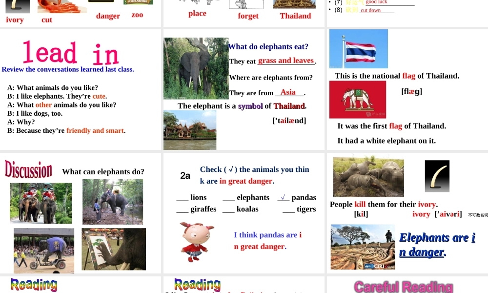 （水滴系列）七年级英语下册 Unit 5 Why do you like pandas（第5课时）Section B（2a-2e）阅读课课件 （新版）人教新目标版-（新版）人教新目标版初中七年级下册英语课件