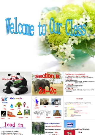 （水滴系列）七年级英语下册 Unit 5 Why do you like pandas（第5课时）Section B（2a-2e）阅读课课件 （新版）人教新目标版-（新版）人教新目标版初中七年级下册英语课件