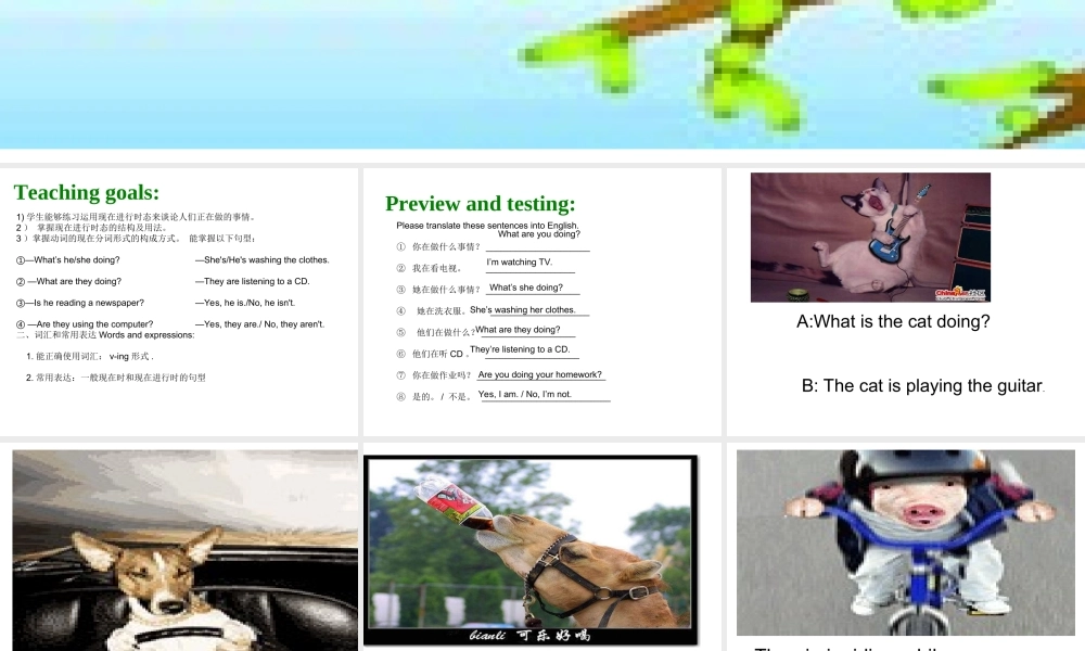 （水滴系列）七年级英语下册 Unit 6 I’m watching TV（第3课时）Section A（Grammar Foucs-3c）课件 （新版）人教新目标版-（新版）人教新目标版初中七年级下册英语课件