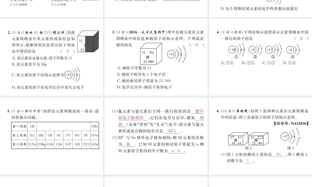 （毕节专用）秋九年级化学上册 3.3 第2课时 元素周期表简介作业课件 （新版）新人教版-（新版）新人教版初中九年级上册化学课件